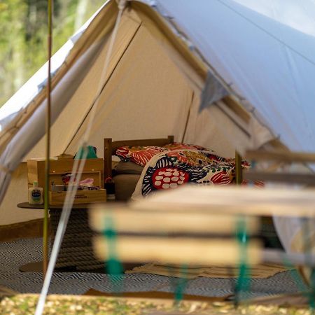 Naturally Glamping Kingsteignton Exterior foto